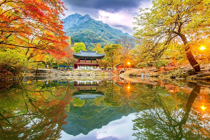 Naejangsan National Park Autumn Foliage One Day Tour from Seoul - Starting the morning with a coach and light breakfast