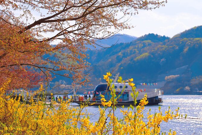 Nami Island and Begonia Bird Park Tour from Seoul (opt Railbike) - Who will enjoy this day most?