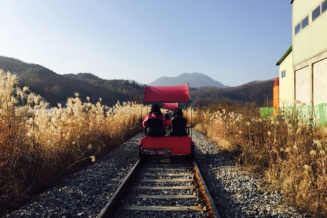 Nami Island and Begonia Bird Park Tour from Seoul (opt Railbike) - Begonia Bird Park: 90 minutes with flowers and animals