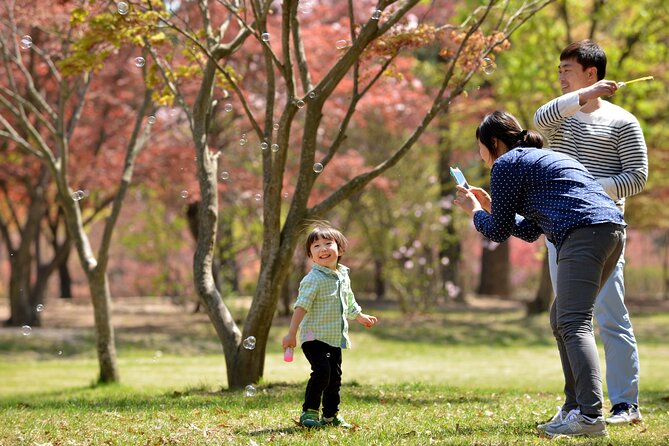 Nami Island and Petite France & Italian Village Day Trip from Seoul - Pinocchio and Da Vinci at the Italian Village