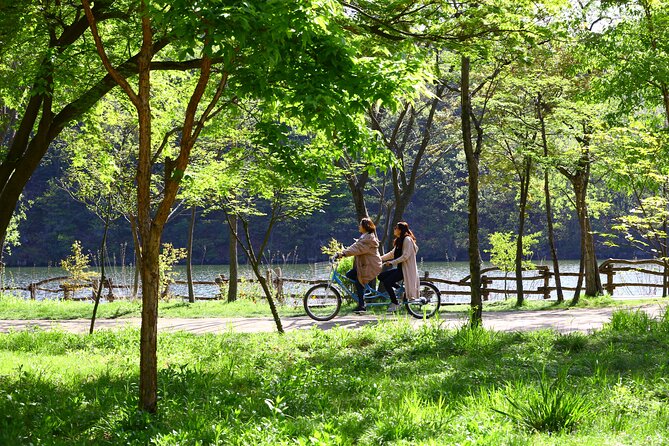 Nami Island and Petite France & Italian Village Day Trip from Seoul - What the guide actually adds