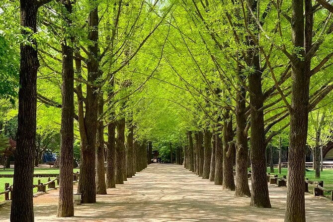 Nami Island and Petite France Private Tour - Two very different stops in one day