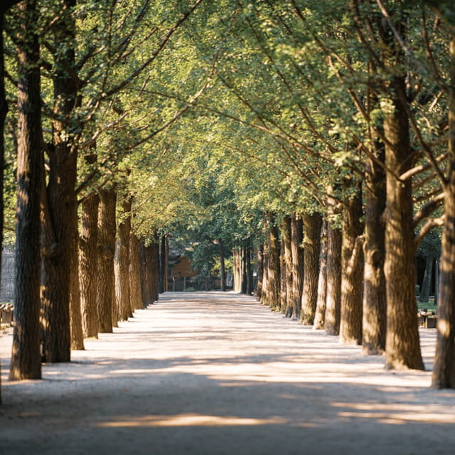 Nami Island, Apple Picking & Railbike Day Trip from Seoul - Pedaling the Gangchon Railbike