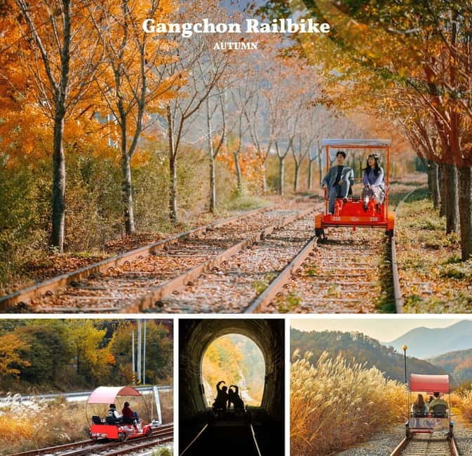 Nami Island, Apple Picking & Railbike Day Trip from Seoul - The Stay Healing Park after dark
