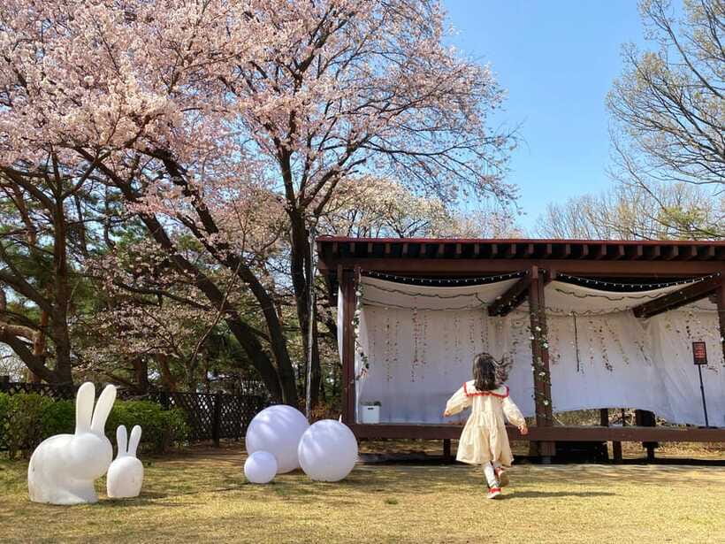 Nami Island, Apple Picking & Railbike Day Trip from Seoul - What the $100 price really covers