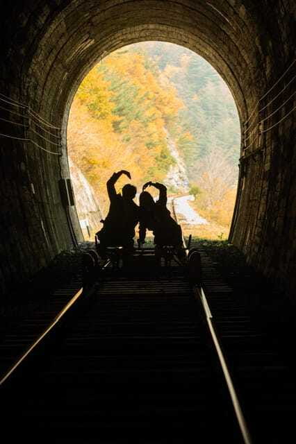 Nami Island, Apple Picking & Railbike Day Trip from Seoul - Who should book this experience?
