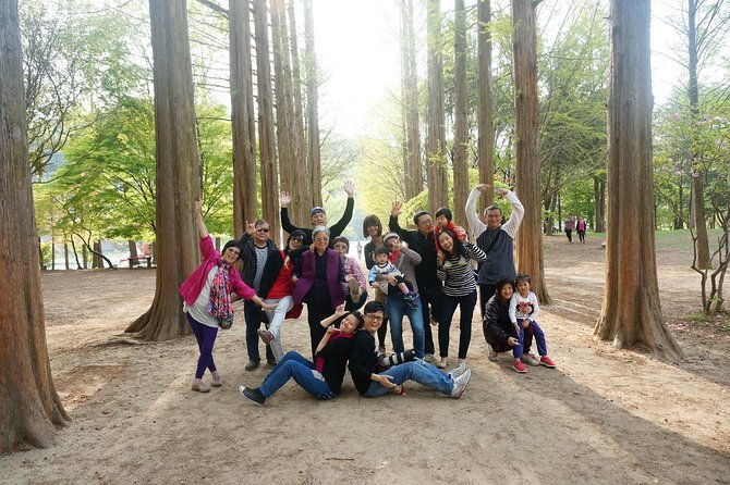Nami Island from Seoul: Petit France and Garden of Morning Calm - Why this private Seoul day trip works
