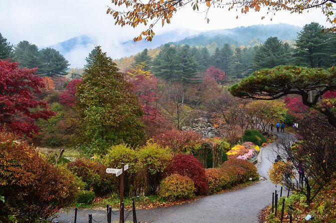 Nami Island from Seoul: Petit France and Garden of Morning Calm - Two and a half hours on Nami Island