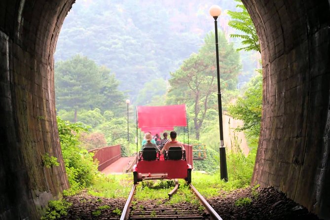 Nami Island & Garden of Morning Calm & Gangchon Railbike Tour - Gangchon Rail Park: a playful ride through the countryside