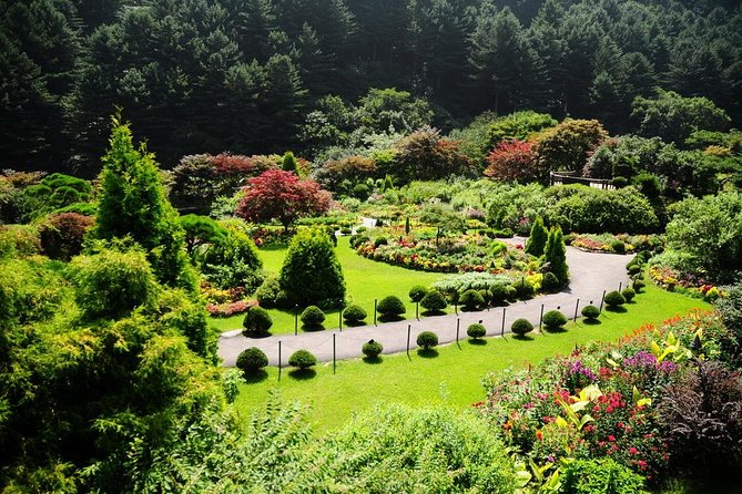 Nami Island & Garden of Morning Calm & Gangchon Railbike Tour - Lunch near the island: convenient, but not part of the ticket