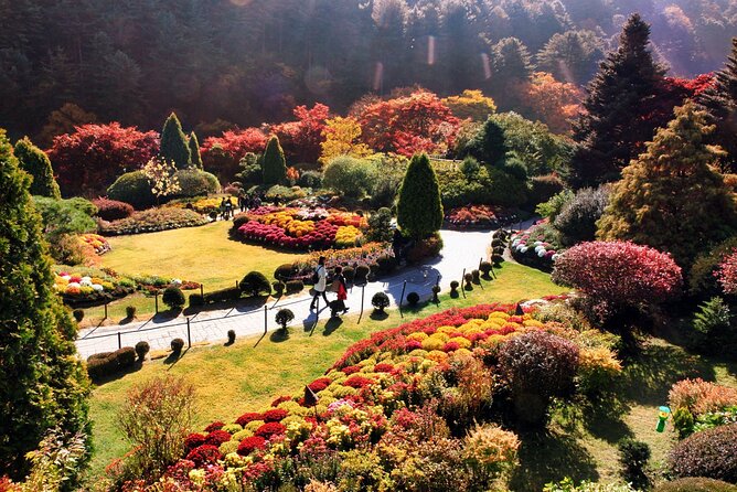 Nami Island & Garden of Morning Calm & Gangchon Railbike Tour - Guides make the difference
