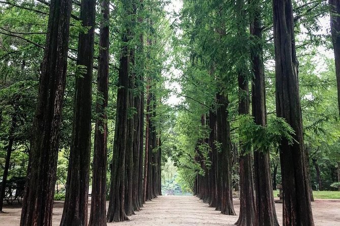 Nami Island & Nearby Attractions : Charter Van Tour With Driver - Alpaca World is a strong choice for families