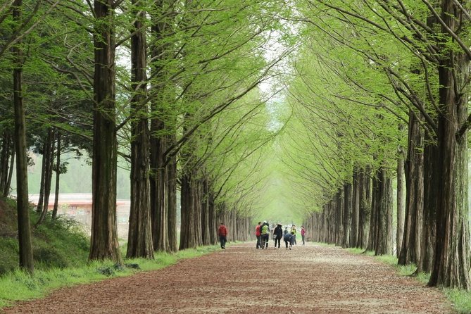 Nami Island& Petite France& Garden of Morning Calm& Italian Village One-Day Tour - The guide can make or break the day