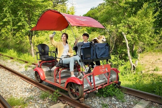 Nami Island & Petite France & Italian Village & Gangchon Rail Bike One-Day Tour - The guide can make or break the day