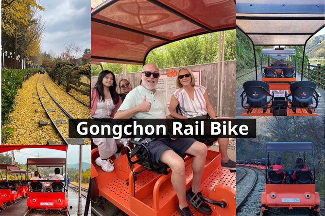 Nami Island & Petite France & Italian Village & Gangchon Rail Bike One-Day Tour - Nami Island: peaceful paths and serious crowds