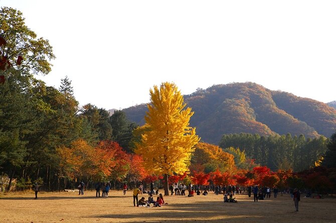 Nami Island & Petite France & Railbike & Morning Calm - Nami Island deserves the longest visit