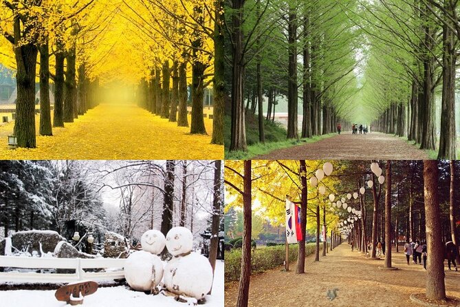 Nami Island & Petite France with Italian Village One-Day Tour - Leaving Seoul from Hongik University Station