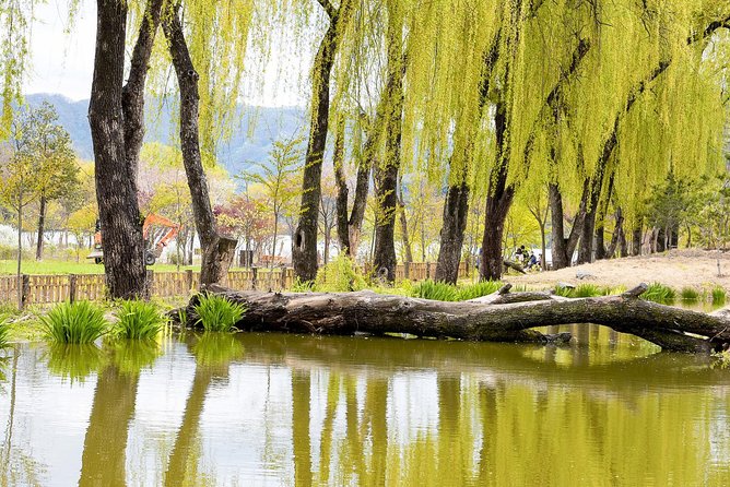 Nami Island & Petite France with Italian Village One-Day Tour - What the guides add to the day