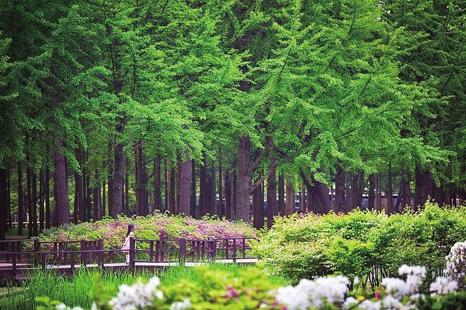 Nami Island & Petite France with Italian Village One-Day Tour - Petite France in one compact hour