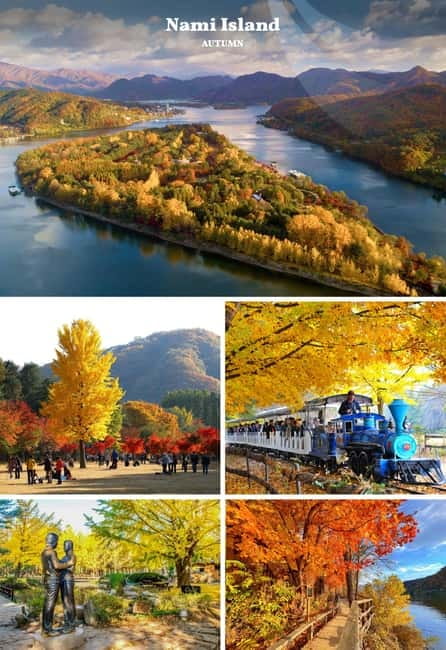 Nami Island, Railbike & Alpaca Garden Day Trip from Seoul - Should you book this autumn day trip?