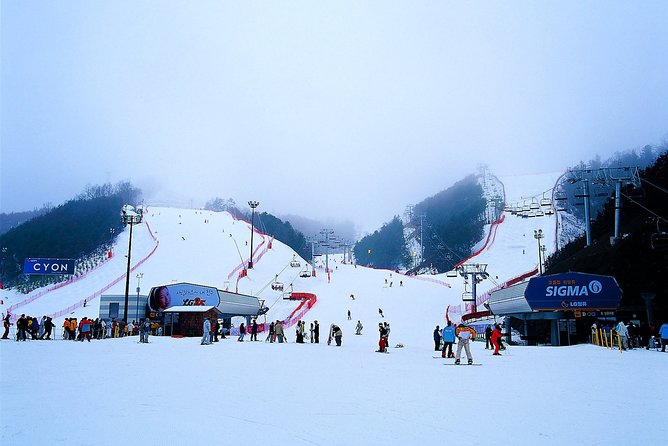 Nami Island + Ski Tour - A winter day built around two famous stops