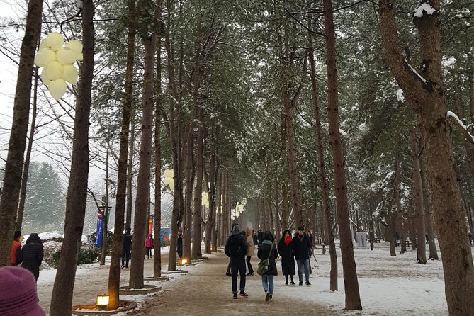 Nami Island + Ski Tour - Why the short Nami Island visit still works