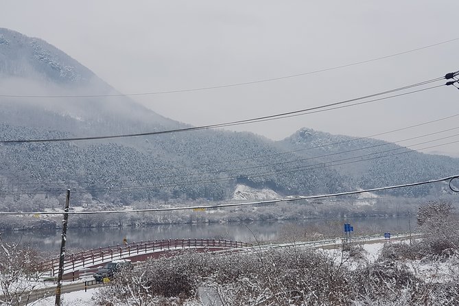 Nami Island + Ski Tour - Guides are a major part of the experience