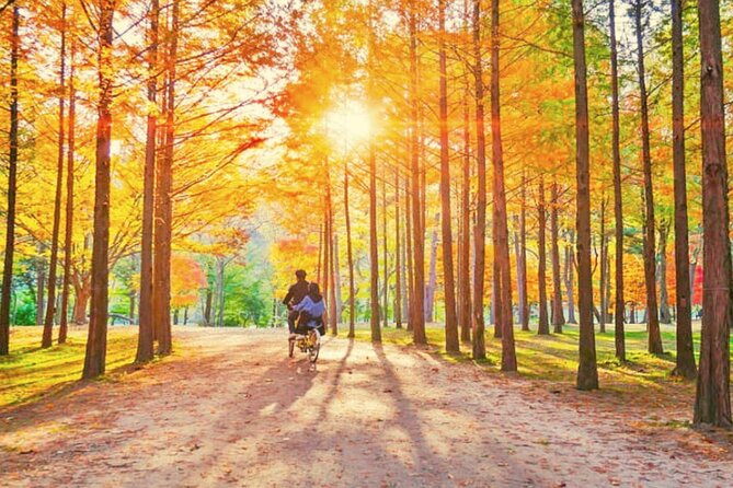 Nami Island & Strawberry Picking and Jam Making & Railbike - Who should book this experience?