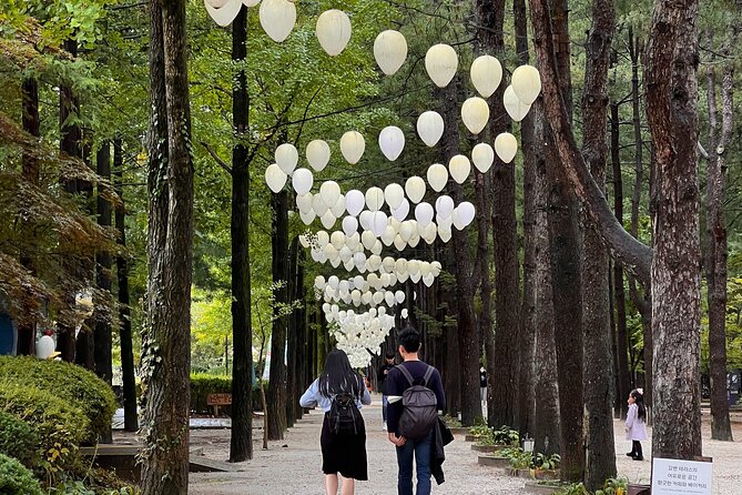 Nami Island Trip with Petite France & Italian Village and Gangchon Rail Bike - The best ride: Gangchon Rail Bike Park