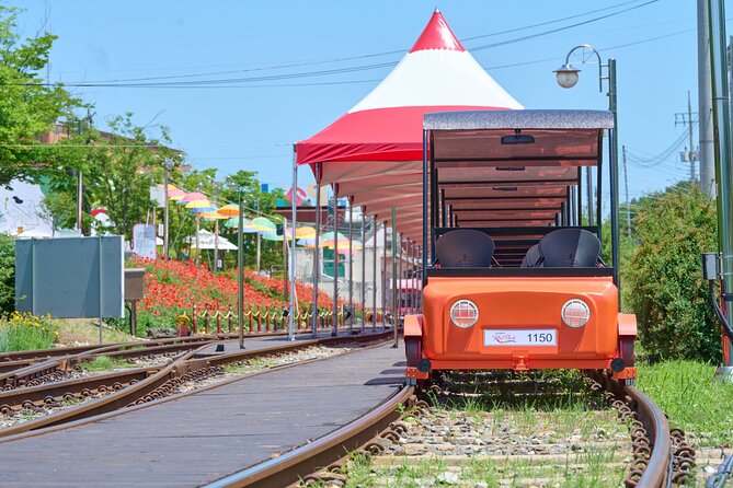 Nami Island Trip with Petite France & Italian Village and Gangchon Rail Bike - Three and a half hours on Nami Island