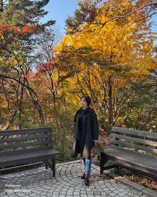 Nami & Maple Road & Theatre des Lumieres Day Tour from Seoul - Should you book the Nami Island and Lumières tour?