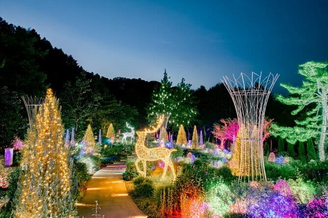 Nami & Petite France & Morning calm & Garden Light Festival - Key points to know before booking
