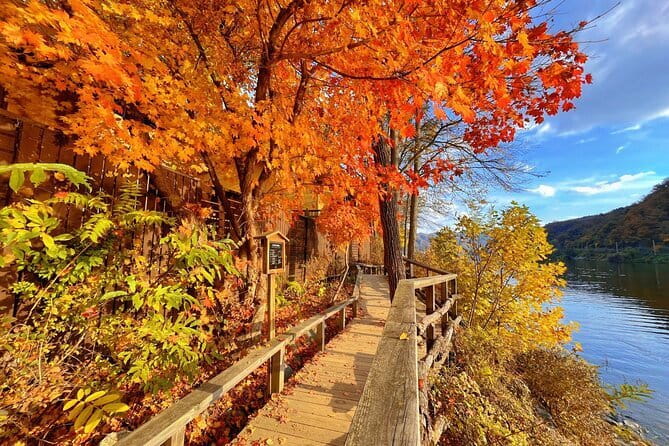 Nami & Petite France & Morning calm & Garden Light Festival - Nami Island, the scenic centerpiece