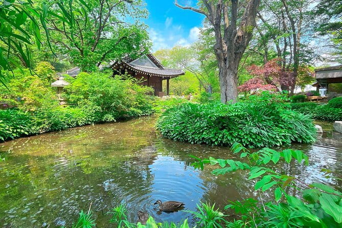 Nami & Petite France & Morning calm & Garden Light Festival - Garden of Morning Calm and its mountain setting