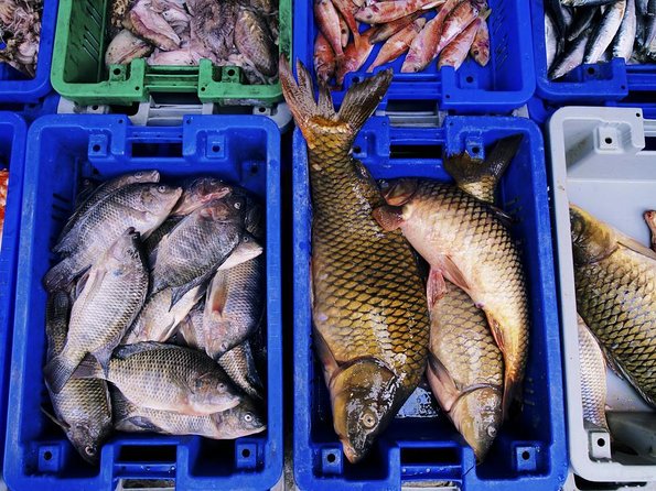 Noryangjin Fish Market Dinner - Key points at a glance