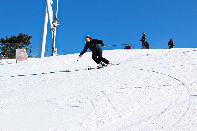 [OFFICIAL] Eden Valley Resort Winter Ski Day Tour from Busan - Why this Busan ski trip is useful