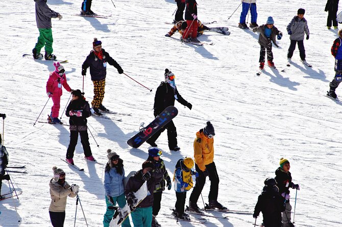 [OFFICIAL] Eden Valley Resort Winter Ski Day Tour from Busan - What the six hours at the resort feel like