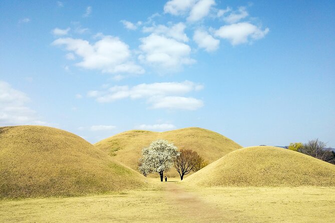 Old Korea Thousand History Tour of Gyeongju from Busan - Daereungwon Tomb Complex: understand what you are seeing