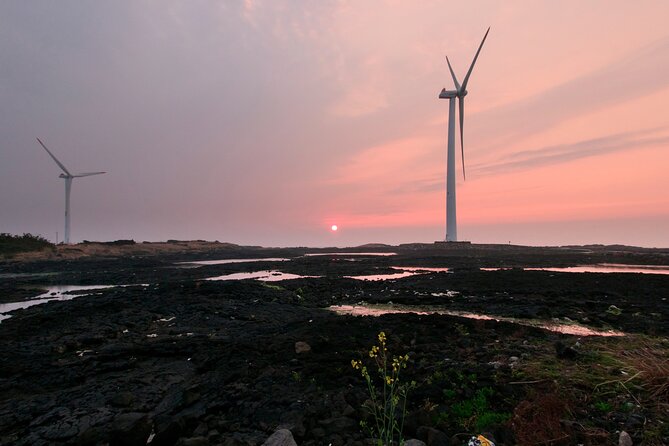 Olle Trail Sunset Tour in Jeju Island - Route 15 offers a short taste of the Olle Trail