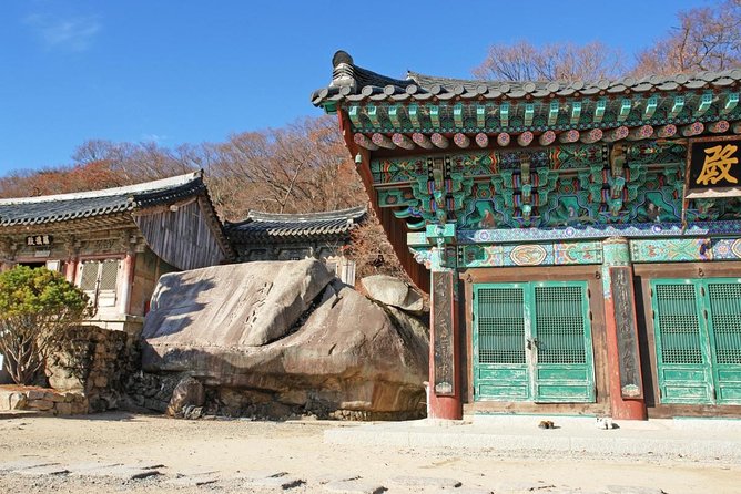 One Day Private Busan Tour with Local Tour Guide - Key points to know before booking