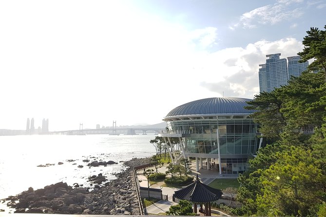 One Day Private Busan Tour with Local Tour Guide - Songdo Beach and the cable car over the sea