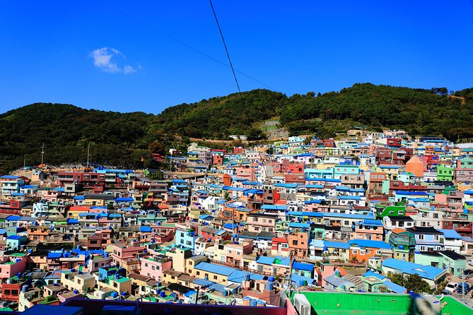 One Day Private Busan Tour with Local Tour Guide - Beomeosa Temple: a quiet start in the Busan mountains