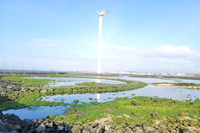 One day private Customized jeju tour - All Area in jeju island - The optional-feeling stops: Seongeup and Suwolbong