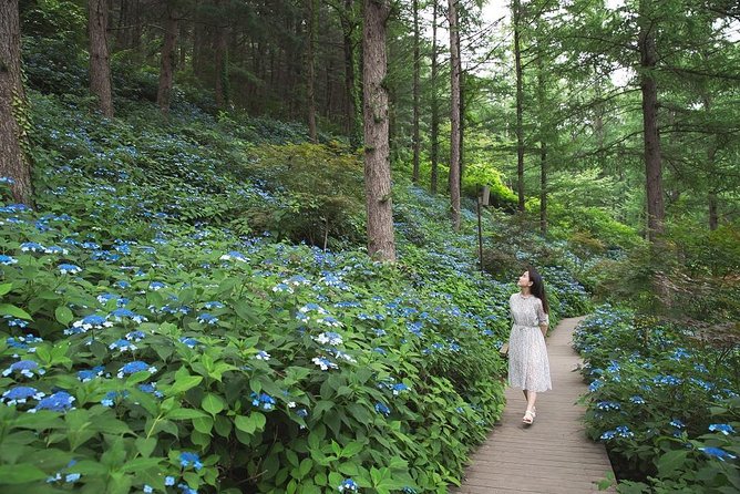 One Day Private Tour-Nami, Petite and Garden of Morning Calm - Bergen Park adds value through context