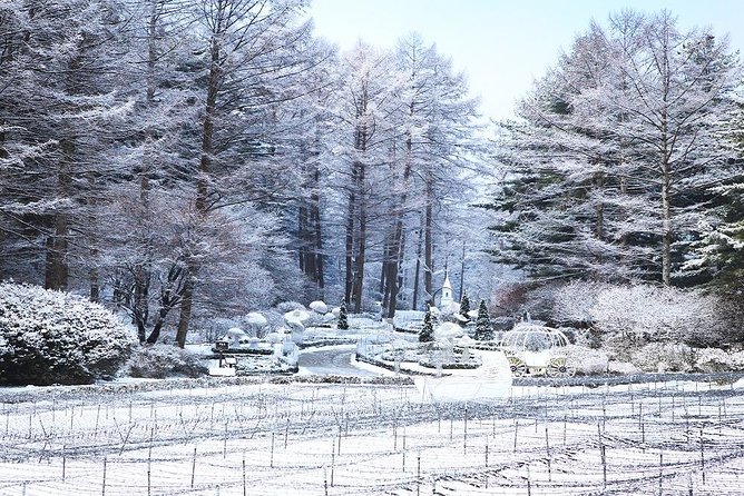 One Day Private Tour-Nami, Petite and Garden of Morning Calm - Lunch, timing, and the shape of the day