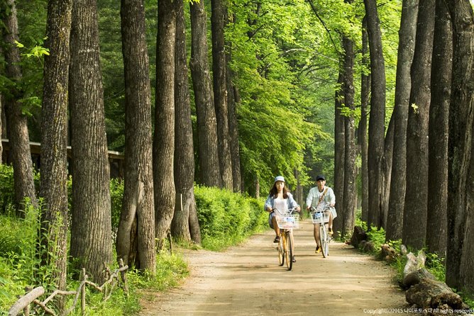 One Day Private Tour-Nami, Petite and Garden of Morning Calm - Is $309 per person fair value?