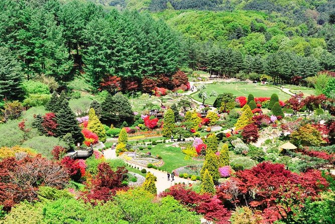 One Day Private Tour-Nami, Petite and Garden of Morning Calm - Petite France packs French culture into one hour