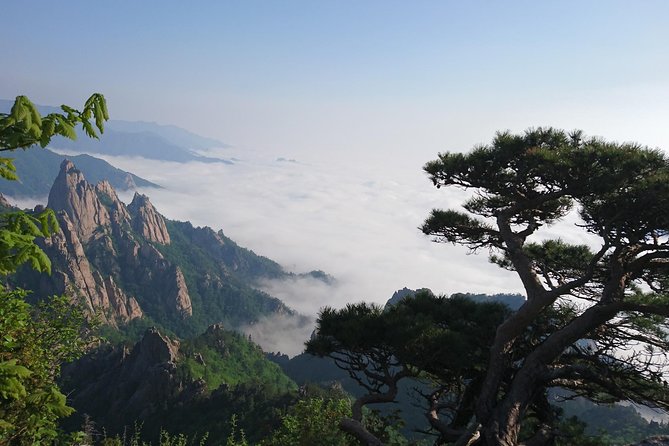 One-Day Tour for stunning Mt.Seoraksan from Seoul - Why Seoraksan makes a good break from Seoul