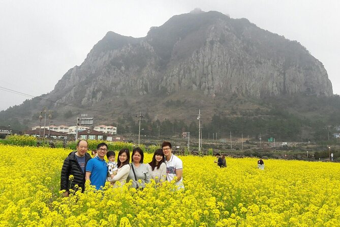 Package tour of All areas of Jeju Island-(East &South &West) - Yongmeori Coast depends on the weather