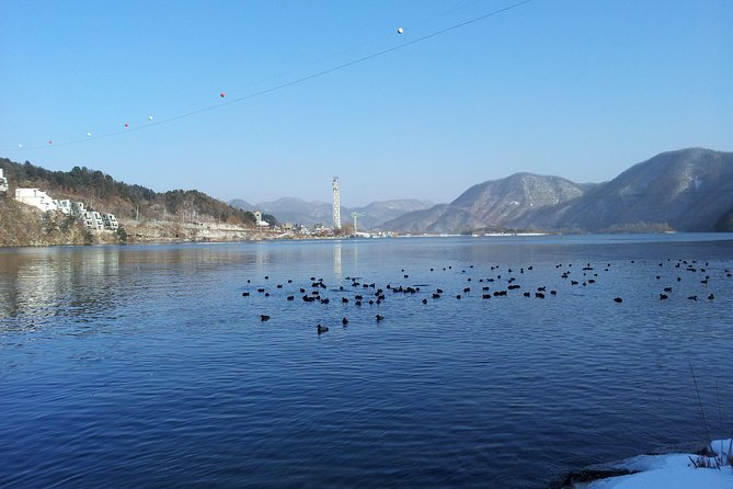 [Perfect Private Tour] Strawberry Farm & Nami Island & Lunch - Practical points before you reserve